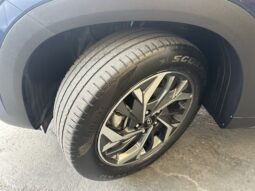 
										HYUNDAI CRETA 1.0 TGDI FLEX PLATINUM AUTOMÁTICO full									