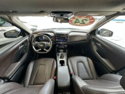 
										HYUNDAI CRETA 1.0 TGDI FLEX PLATINUM AUTOMÁTICO full									