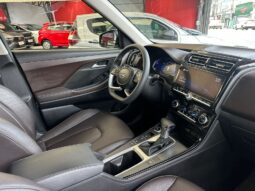 
										HYUNDAI CRETA 1.0 TGDI FLEX PLATINUM AUTOMÁTICO full									